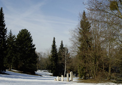 Heilbronn, Hauptfriedhof; Februar 2009