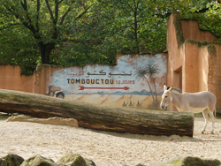 Hannover, Zoo