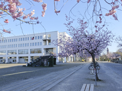 Göttingen, Campus